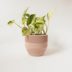 LE ZÉBRÉ Indoor Planter