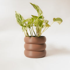 LE BUBBLY Indoor Planter