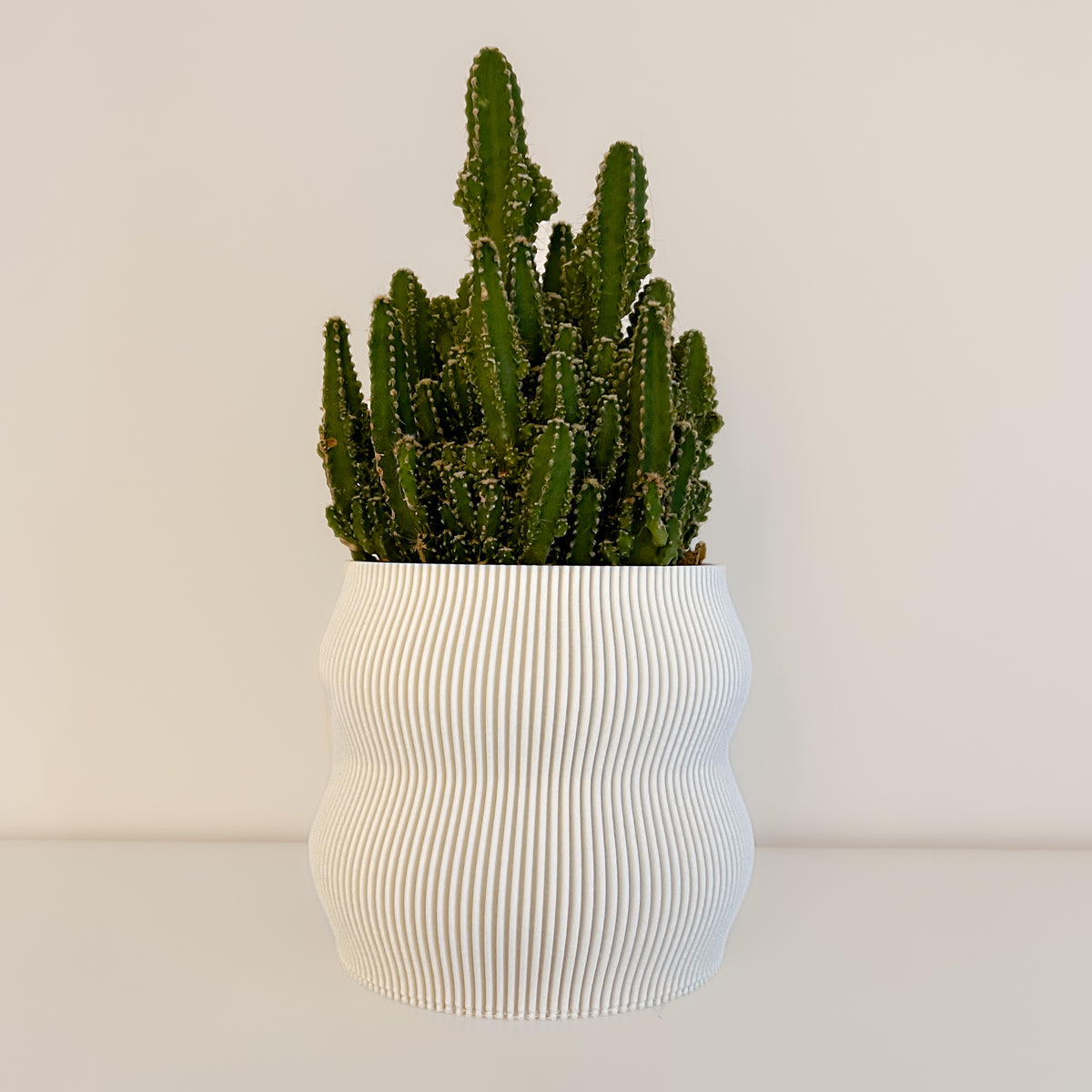 “The Nuanced” flowerpot