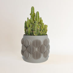 “Le Pétillant” plant pot