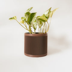 LE LIGNÉ Indoor Planter