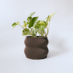 Cache-pot « Le Nuancé »