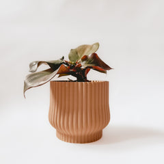 Cache-pot « L'Adorable »