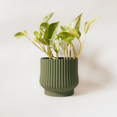 Cache-pot « L'Adorable »