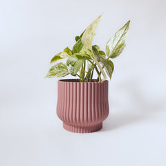 Cache-pot « L'Adorable »