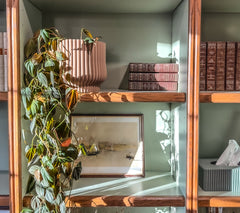 Cache-pot « L'Adorable »