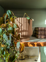 Cache-pot « L'Adorable »