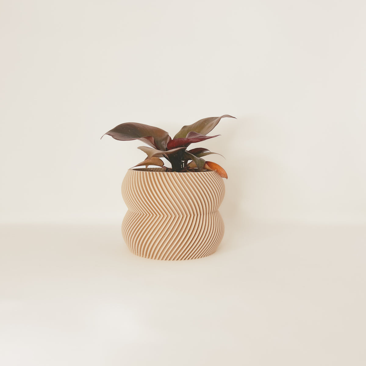 LE CHARMANT Indoor Planter