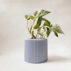 LE COQUET Indoor Planter