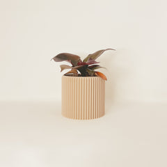 LE COQUET Indoor Planter