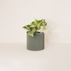 LE COQUET Indoor Planter