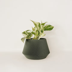 LE JOLI Indoor Planter