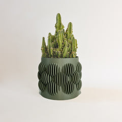 “Le Pétillant” plant pot