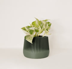 LE PAISIBLE Indoor Planter