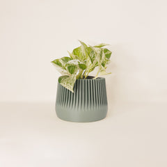 LE PAISIBLE Indoor Planter