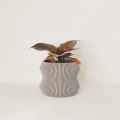 LE RAYONNANT Indoor Planter