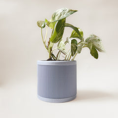 LE LIGNÉ Indoor Planter