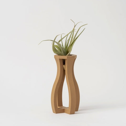“The Delicate” Vase