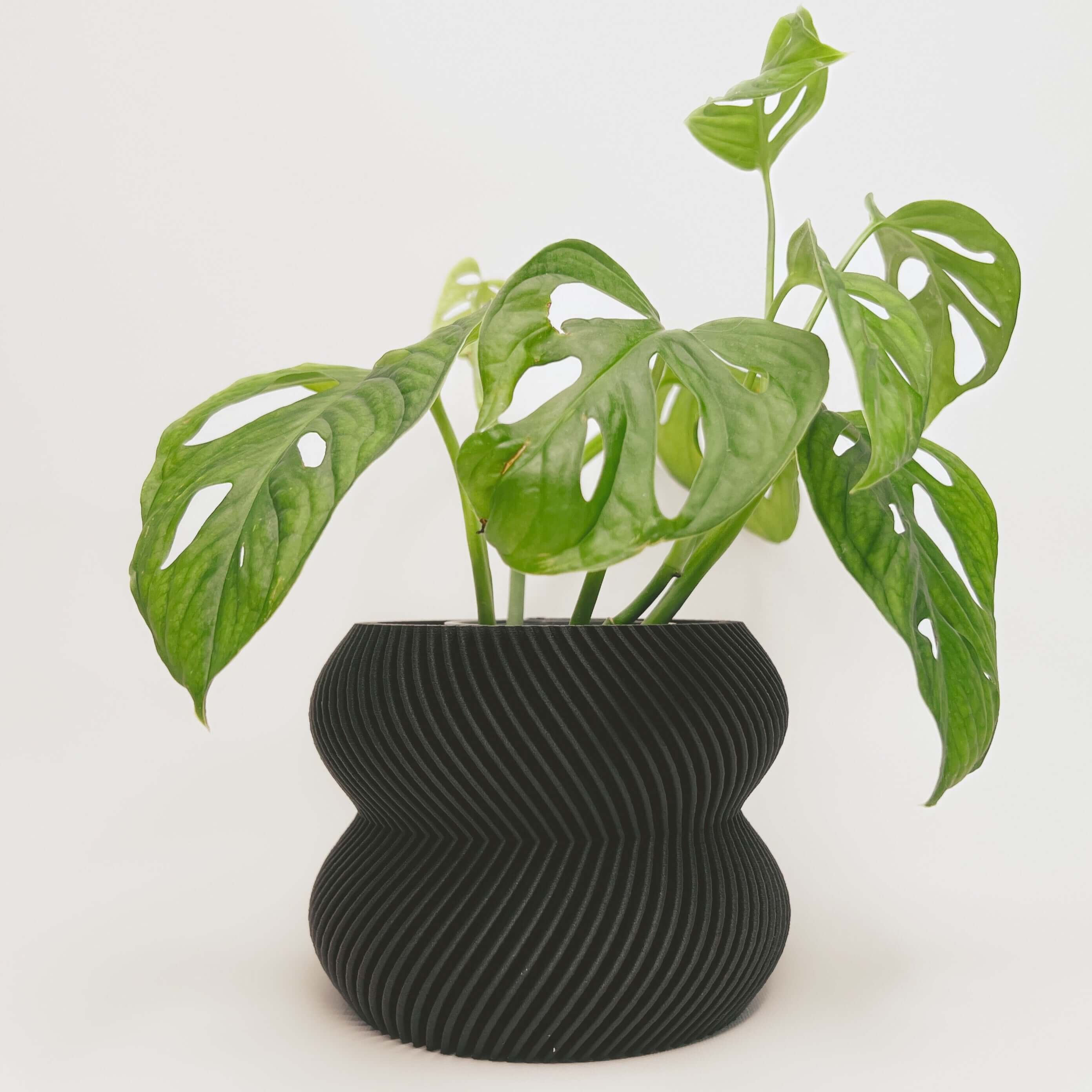 LE CHARMANT Indoor Planter