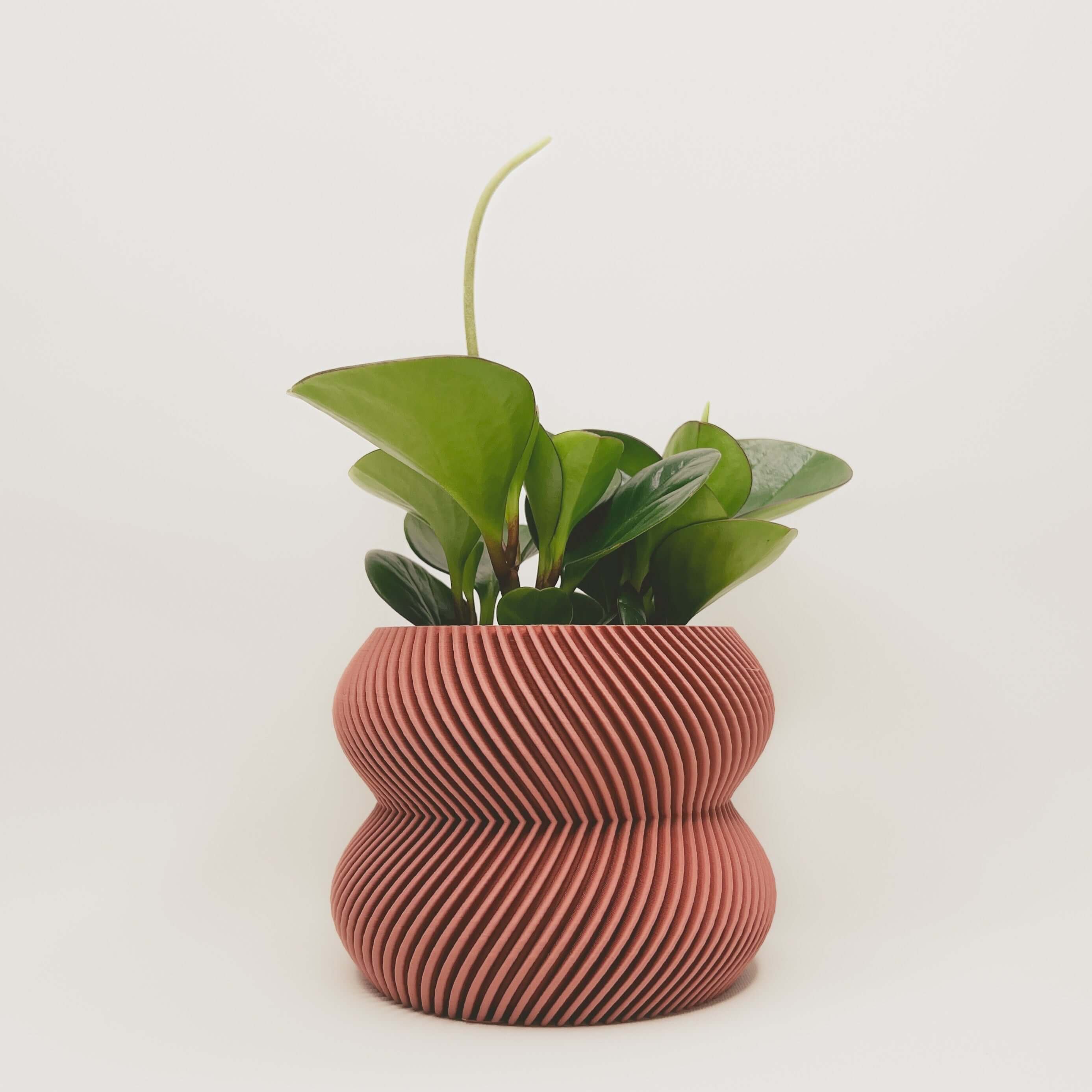 Cache-pot minimaliste en matériaux durables, conçu au Québec